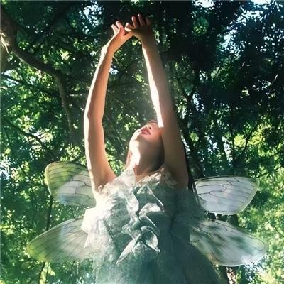 卡罗尔与星期二